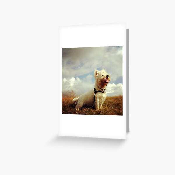 Brandy Greeting Card