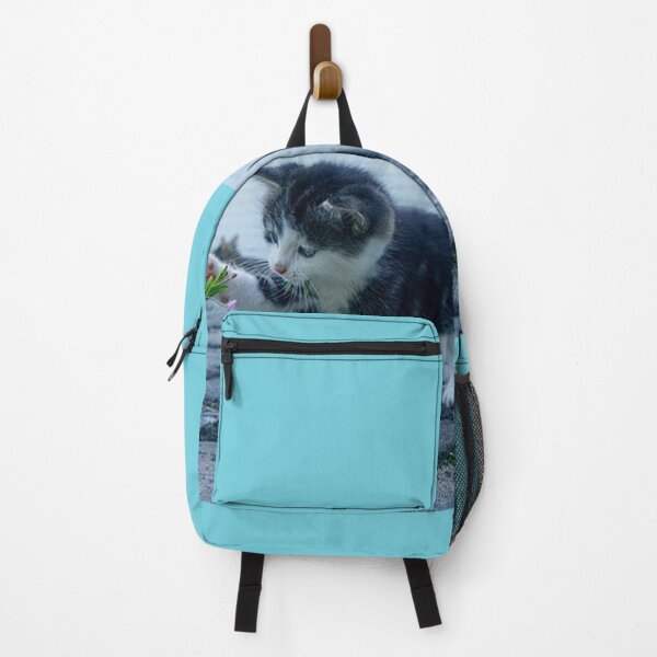 Item preview, A kitten designed and sold by Gatto Grasso.