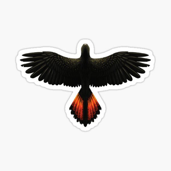 Black Cockatoo Sticker