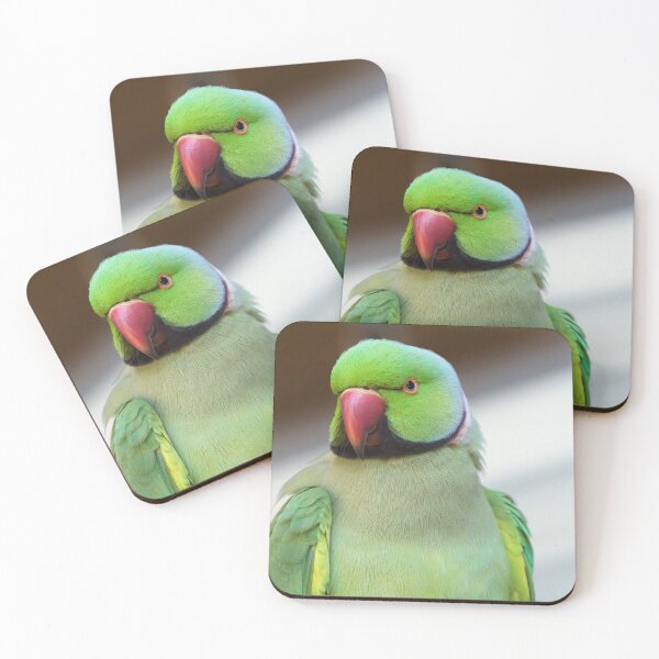 Item preview, Rose-ringed Parakeet  designed and sold by hendrikspix.