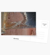 Huntsman Spider Postcards