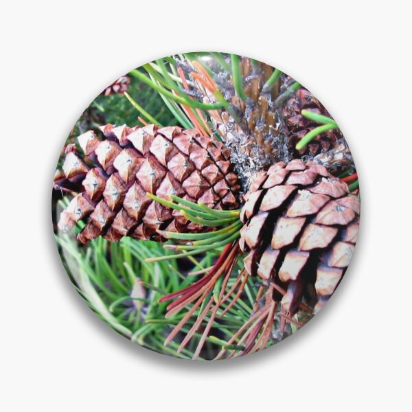 Item preview, Cones - Close-up designed and sold by BlueMoonRose.