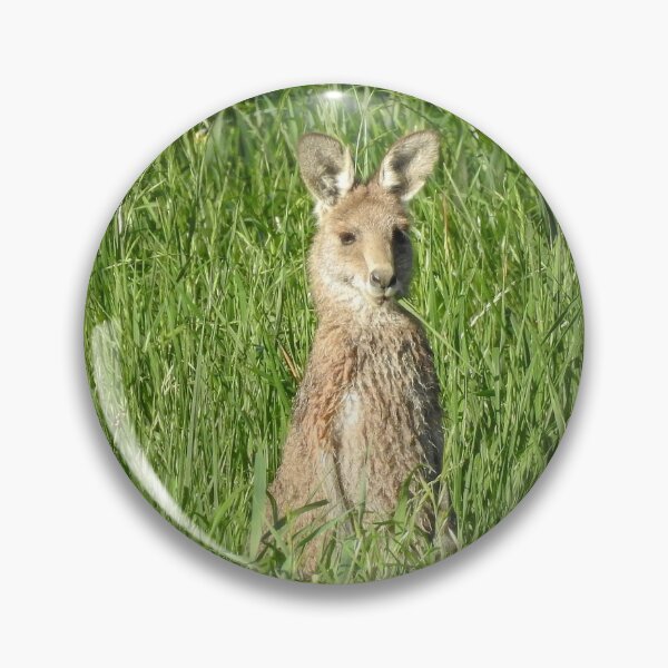 Item preview, Aussie Wallaby designed and sold by CathsImages.