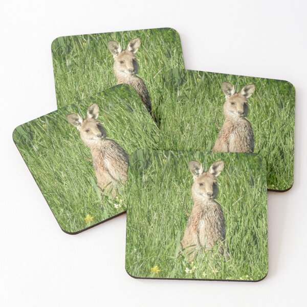 Item preview, Aussie Wallaby designed and sold by CathsImages.
