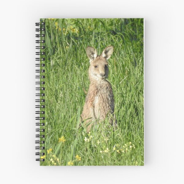 Item preview, Aussie Wallaby designed and sold by CathsImages.