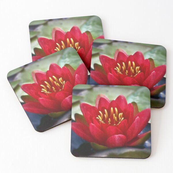 Item preview, Red Water Lily designed and sold by Kathy Weaver.
