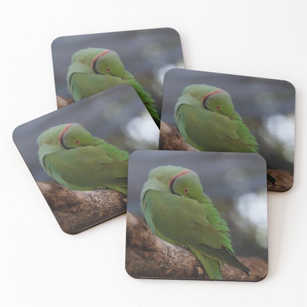 Item preview, Sleeping rose-ringed parakeet designed and sold by hendrikspix.