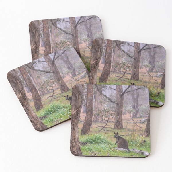 Item preview, Wallaby in the morning fog. designed and sold by Luke Foster.