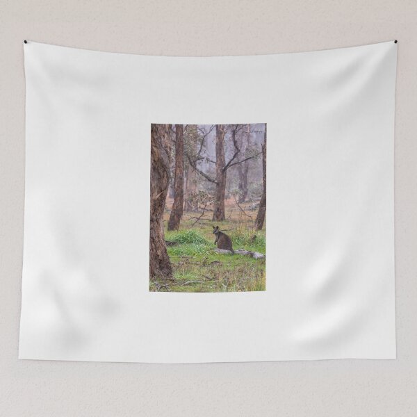 Item preview, Wallaby in the morning fog. designed and sold by Luke Foster.