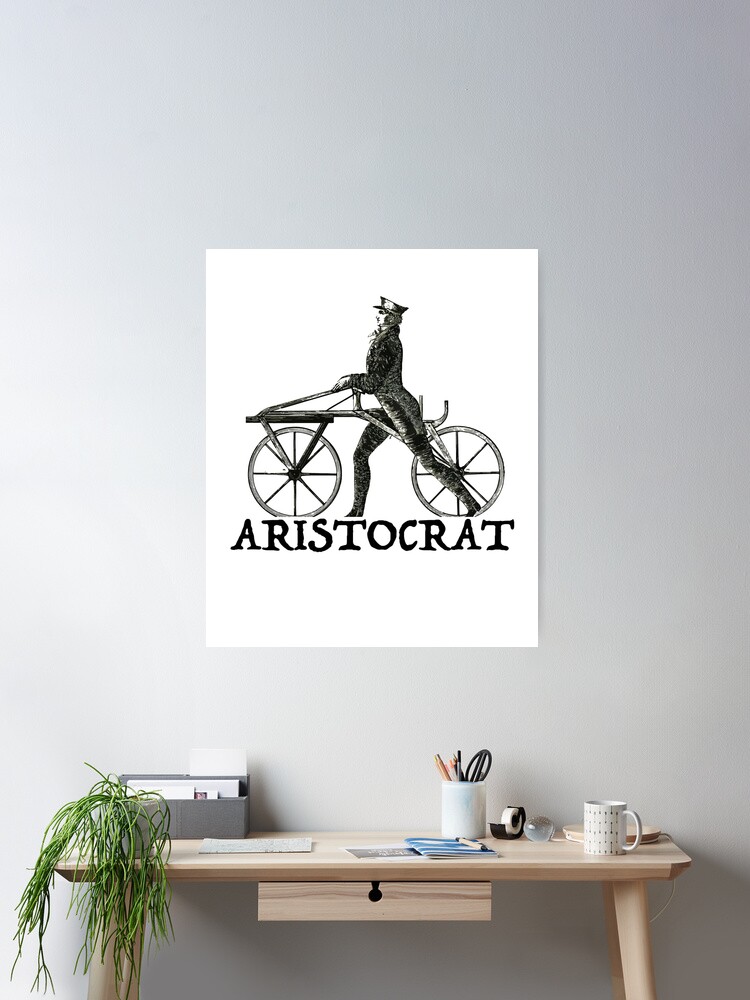 Bicycle aristocrat online