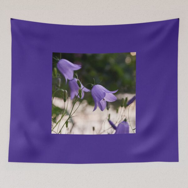Item preview, Evening bells are calling. Bluebell of Scotland designed and sold by Jouko Lehto Photography.
