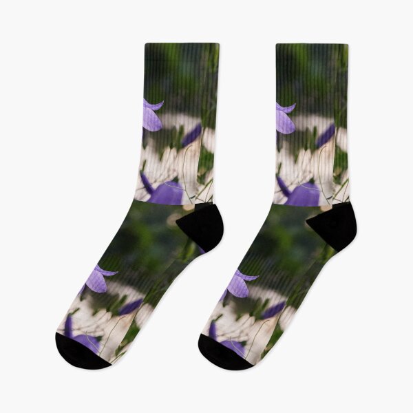 Item preview, Evening bells are calling. Bluebell of Scotland designed and sold by Jouko Lehto Photography.