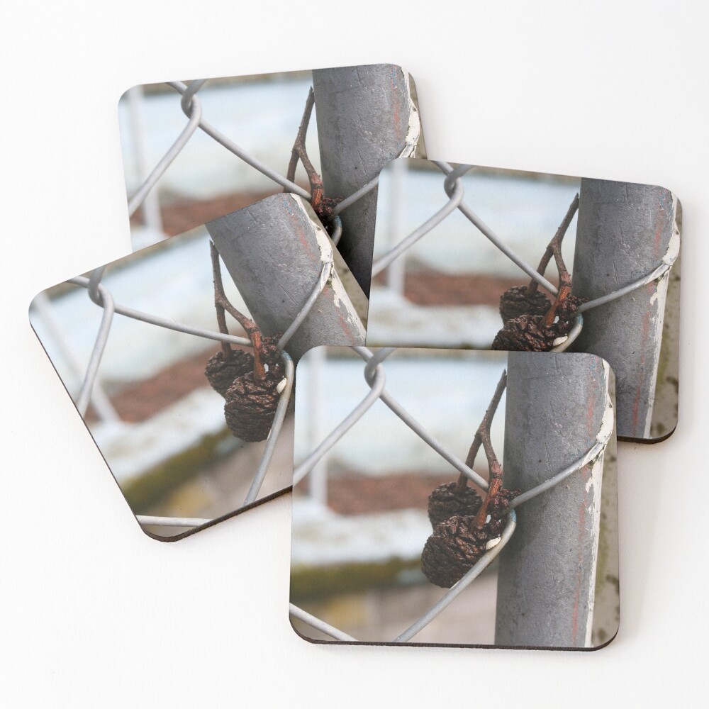 Item preview, Coasters (Set of 4) designed and sold by Ruth-Goldsack.