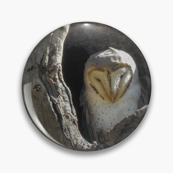Item preview, Eastern Barn Owl designed and sold by CathsImages.