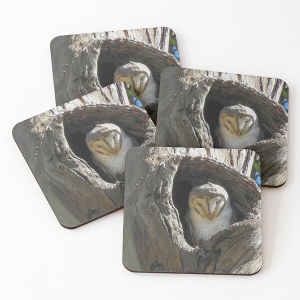 Item preview, Eastern Barn Owl designed and sold by CathsImages.