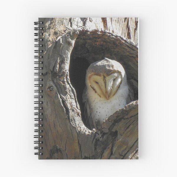 Item preview, Eastern Barn Owl designed and sold by CathsImages.