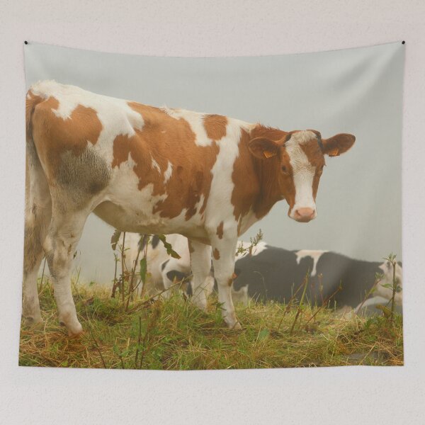 Item preview, Calves designed and sold by Gaspar Avila.