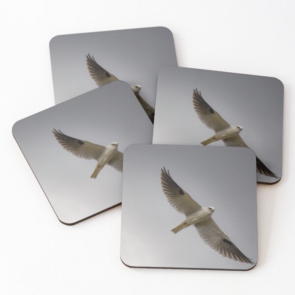 Item preview, Black Shouler Kite designed and sold by CathsImages.