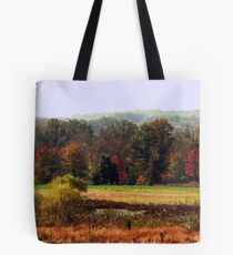 Fall Colors Tote Bag