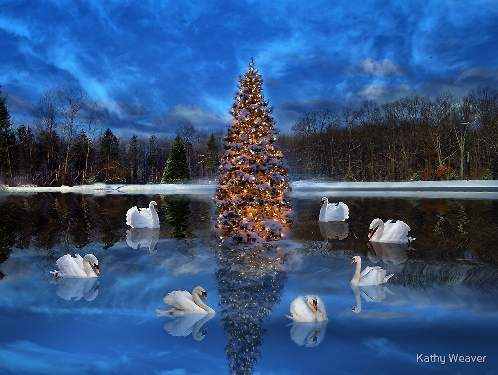 seven swans a swimming gift ideas