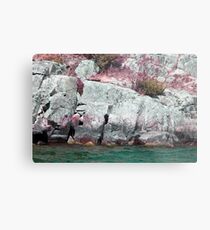 Thousand Islands Canada Metal Print
