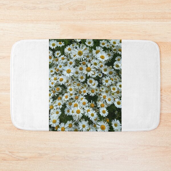 Item preview, Daisies at Cantick Head on Hoy designed and sold by Alan Mackinnon.