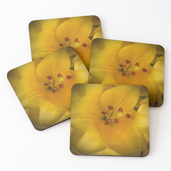 Yellow Lily flower Coasters (Set of 4)