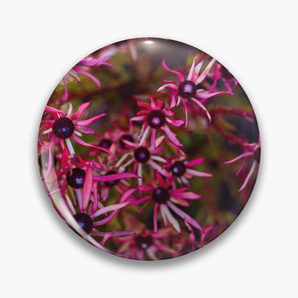 Item preview, Pink Winter Flowers designed and sold by Marguerite Faure.