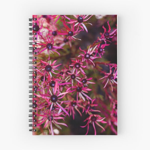 Item preview, Pink Winter Flowers designed and sold by Marguerite Faure.