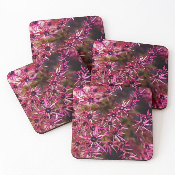 Item preview, Pink Winter Flowers designed and sold by Marguerite Faure.