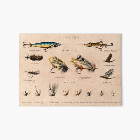 Vintage Fishing Lures Art Board Print for Sale by Bill