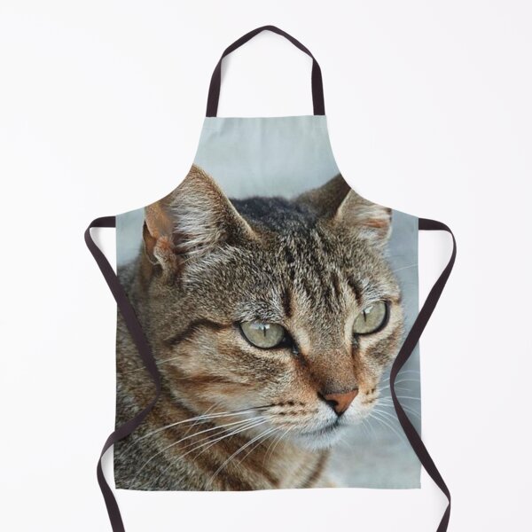 Item preview, Stunning Tabby Cat CloseUp Photo Portrait designed and sold by taiche.