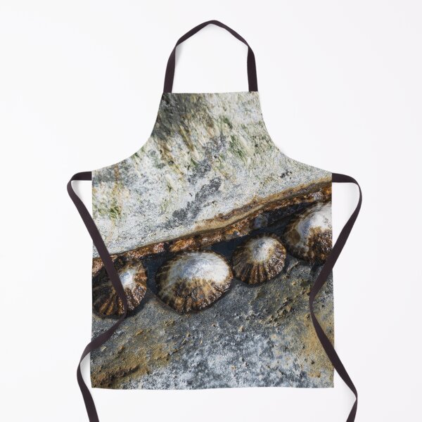 Item preview, Limpets clustered in a secure spot designed and sold by ccullen222.