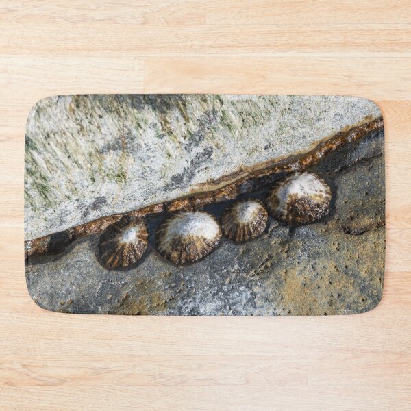 Item preview, Limpets clustered in a secure spot designed and sold by ccullen222.