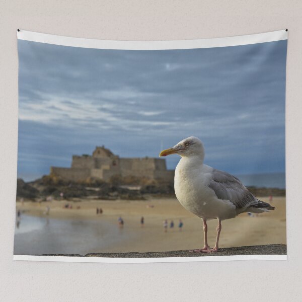 Item preview, Seagull at Saint Malo designed and sold by onestep4ward.