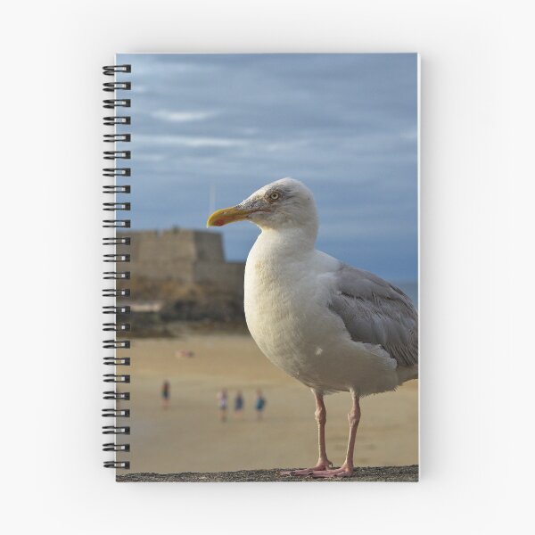 Item preview, Seagull at Saint Malo designed and sold by onestep4ward.