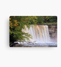 Tahquamenon Falls from the River Canvas Print