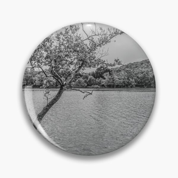Artikelvorschau, Krummer Baum am Table Rock Lake Graustufen entworfen und verkauft von mljdwhite.
