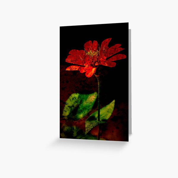 Mystic Flower Greeting Card