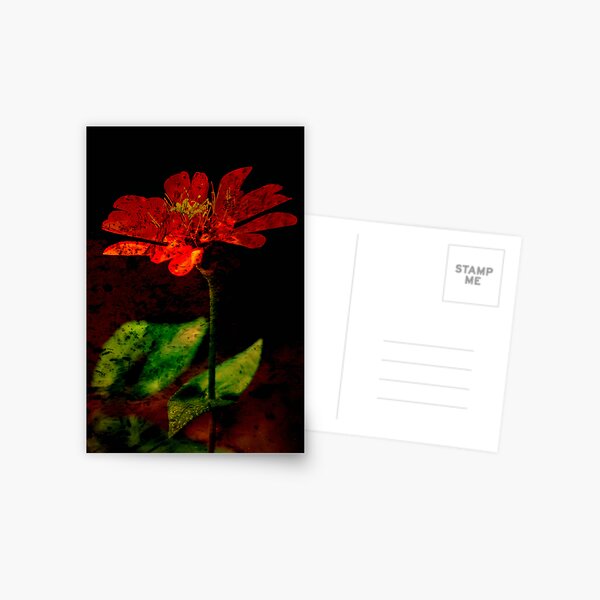 Mystic Flower Postcard