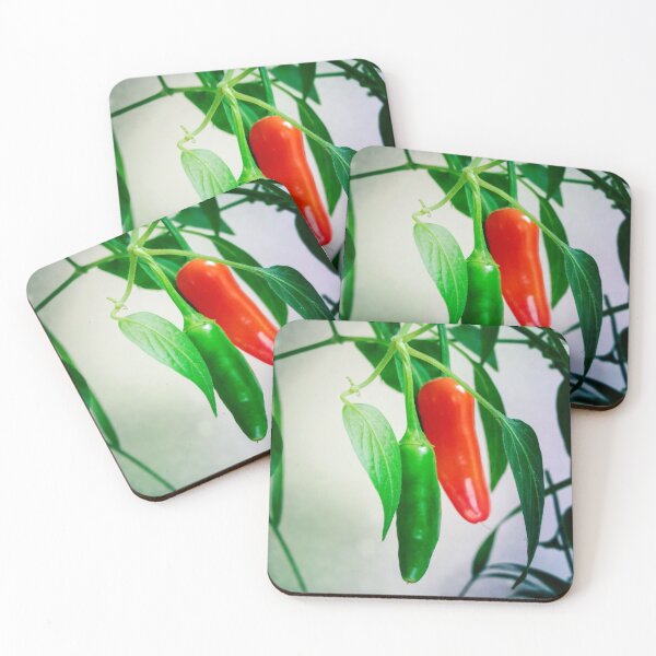 Green and red chillies Coasters (Set of 4)