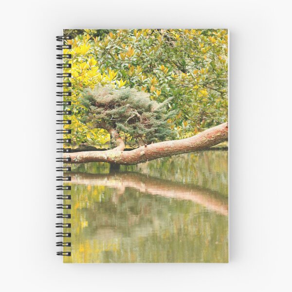 Item preview, Reflections on the pond designed and sold by Gaspar Avila.