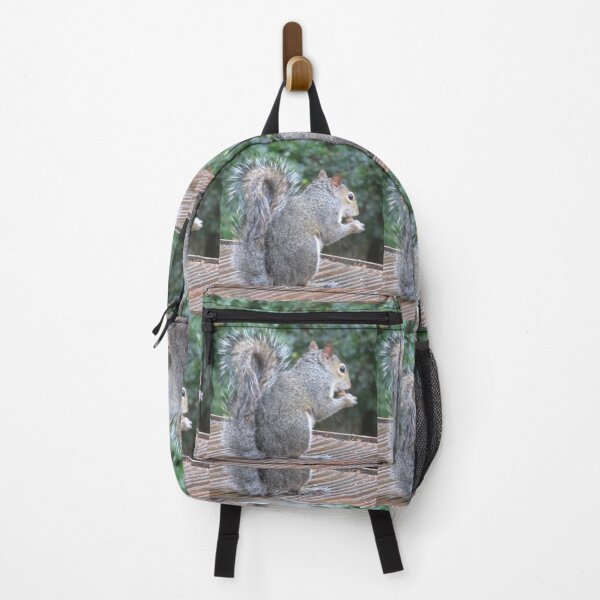 Item preview, Squirrel Photograph from Cannock Chase designed and sold by Paulele.