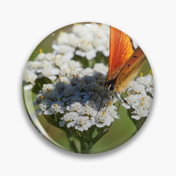 Item preview, At Your Service. Scarce copper designed and sold by Jouko Lehto Photography.
