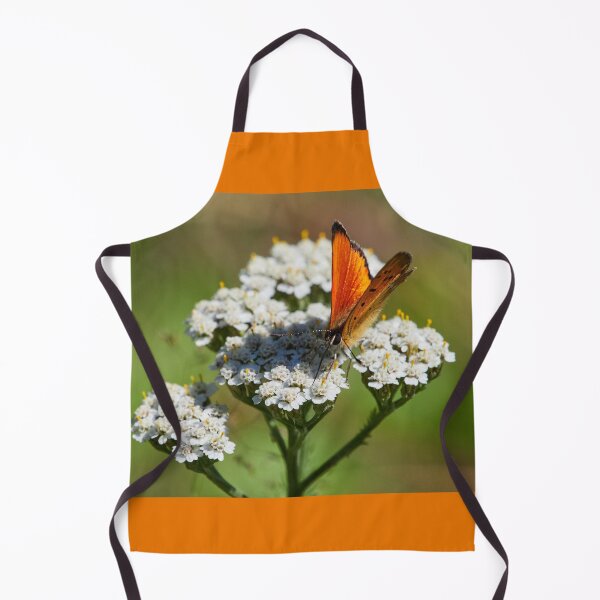 Item preview, At Your Service. Scarce copper designed and sold by Jouko Lehto Photography.