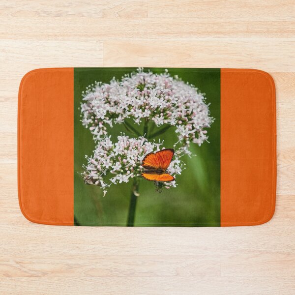 Item preview, The Orange Spot. Scarce copper designed and sold by Jouko Lehto Photography.
