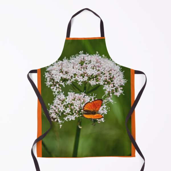 Item preview, The Orange Spot. Scarce copper designed and sold by Jouko Lehto Photography.