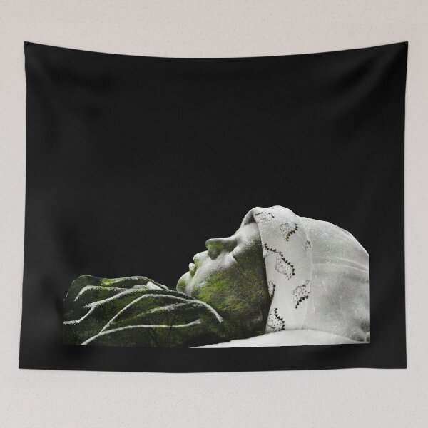 Item preview, newborn double exposure designed and sold by Javier Narváez Solarte.