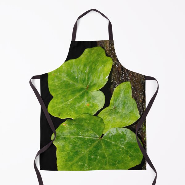 Item preview, Hedera designed and sold by Gaspar Avila.