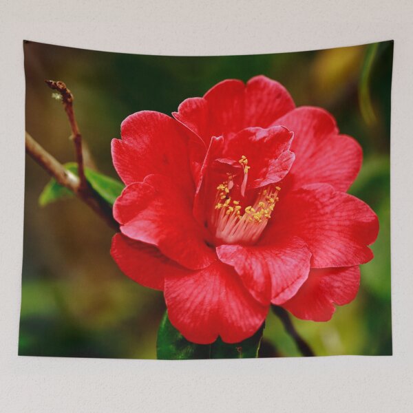 Item preview, Camellia japonica designed and sold by Gaspar Avila.